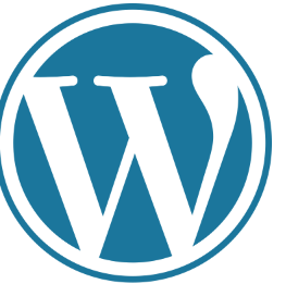 CMS web development